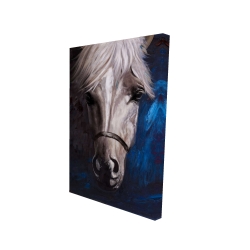Cheval blanc sur fond bleu