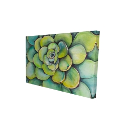 Succulent à l'aquarelle