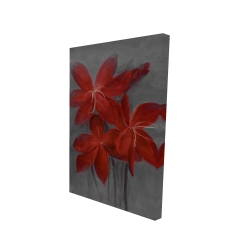 Asiatic lily