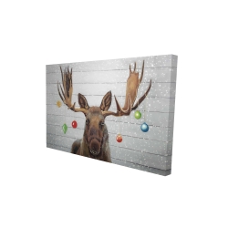 Moose has christmas balls