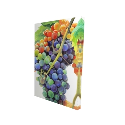 Colorful bunch of grapes