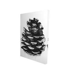 Cocotte de pin