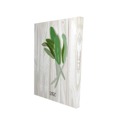 Sage on wood