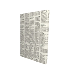 Newspaper