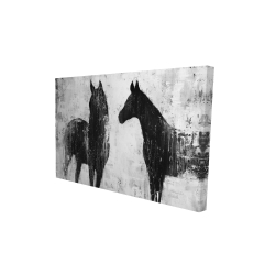 Chevaux blancs et noirs