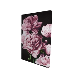 Pivoines roses