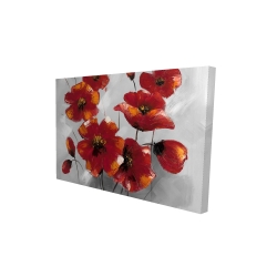Anemone flowers