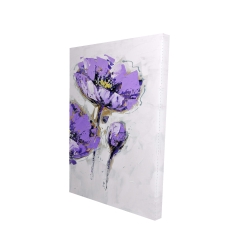 Anémones mauves