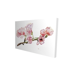 Branch of cherry blossom in pink