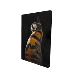 Spotted cat