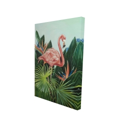 Tropical flamingo