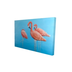 Groupe de flamants