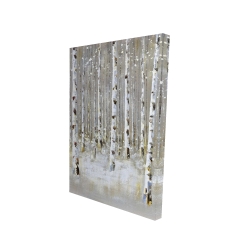 Birch forest by winter