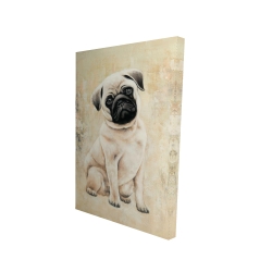 Small pug dog