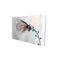 Papillon sur fleurs bleues