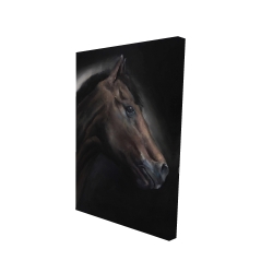 Cheval solitude