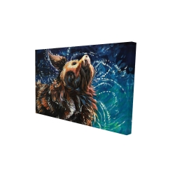 Wet golden retreiver shaking to dry