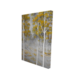 Birch forest