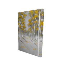 Yellow birch forest