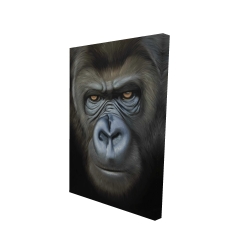 Visage de gorille