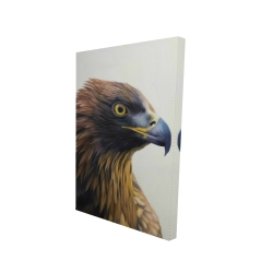 Brown-headed eagle