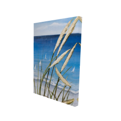 Plante oyat et bord de mer