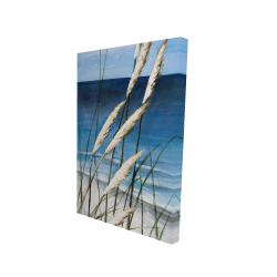 Plante oyat dans le vent sur la plage