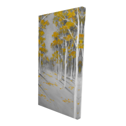 Yellow birch forest