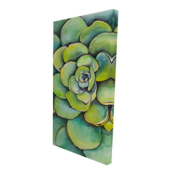Succulent à l'aquarelle