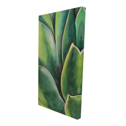 Plante d'agave à l'aquarelle