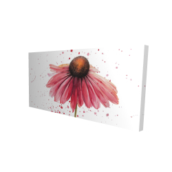 Pink daisy