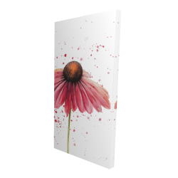 Pink daisy
