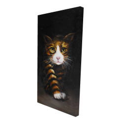 Discreet cat