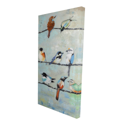 Petits oiseaux colorés