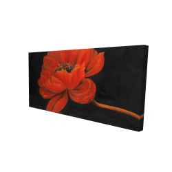 Red petal flower