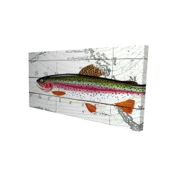 Trout on a world map