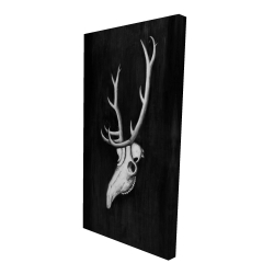 Deer skull in the dark