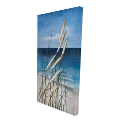 Plante oyat dans le vent sur la plage