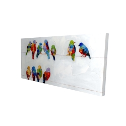 Oiseaux colorés sur des fils