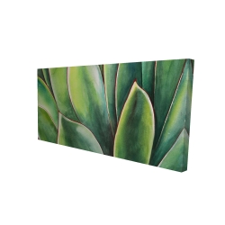 Plante d'agave à l'aquarelle