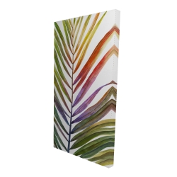 Feuille de palmier tropical