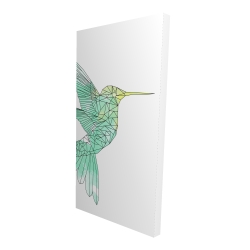 Colibri géométrique