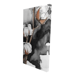 Fleurs de cotton sur fond noir