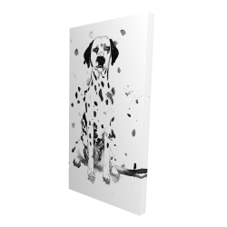 Chien dalmatien