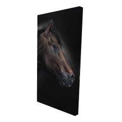 Cheval solitude