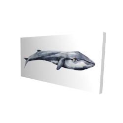 Baleine en aquarelle