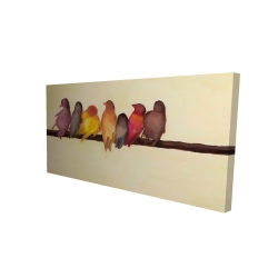 Famille d'oiseaux