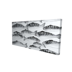 Gray shoal of fish