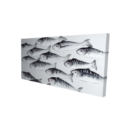 Banc de poisson gris