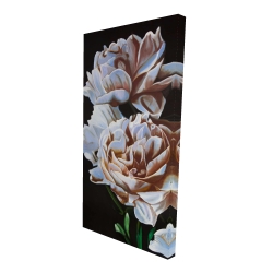 Peonies